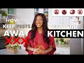 HOW TO KEEP PESTS AWAY FROM YOUR KITCHEN - Zeelicious Foods