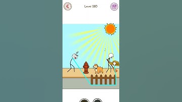 Thief Puzzle level 110