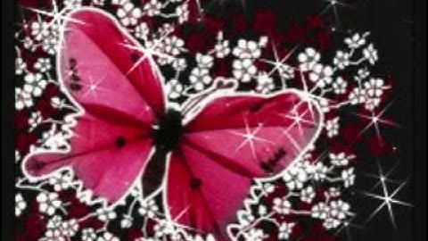 Mot doi nguoi mot rung cay- Hong Nhung