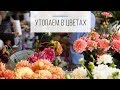 Международная выставка цветов ЦветыЭкспо | FlowersExpo 2018