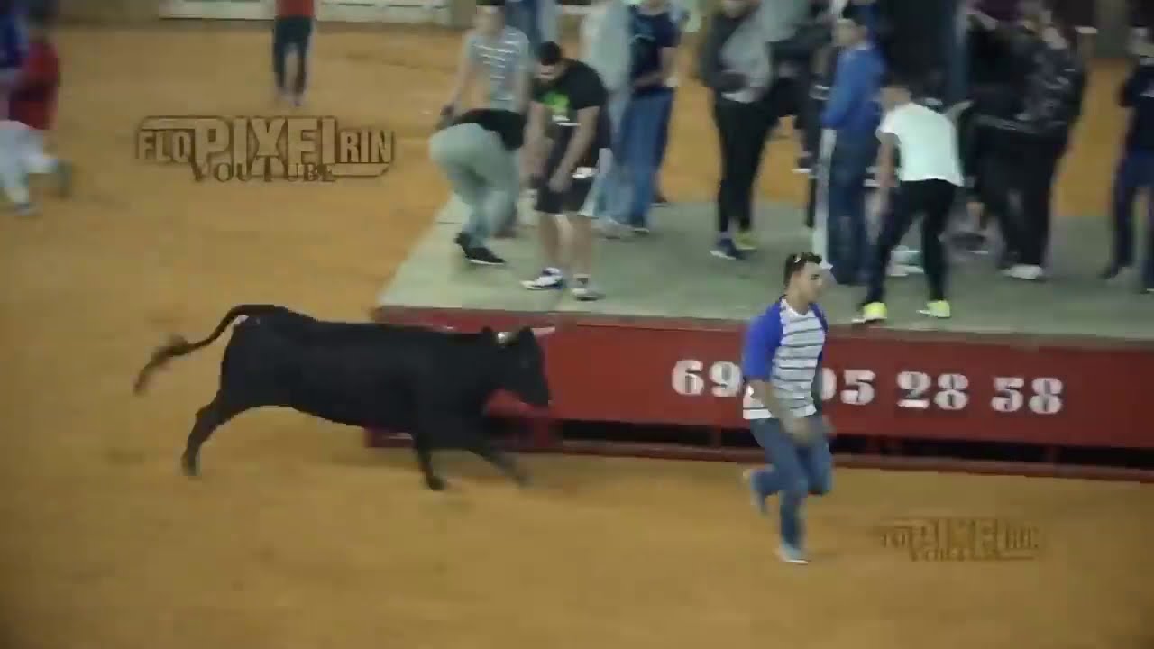 Dangerous Bull Fight Accidents Compilation 2020 Lucky and Funny People ...