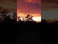 this view is so good #music #remix