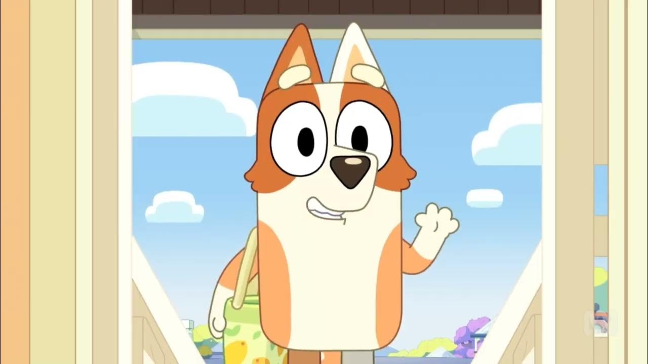 Bluey & Bingo meet Aunt Brandy YouTube