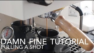 DAMN FINE TUTORIAL - Pulling A Shot