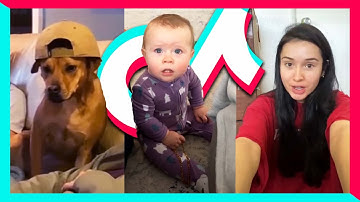 TikToks that Should Have Stayed in the Drafts