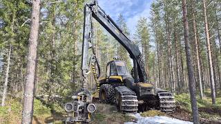 Ponsse Ergo 2016, about 24500h, C44+ 11m, H6  Available right away!