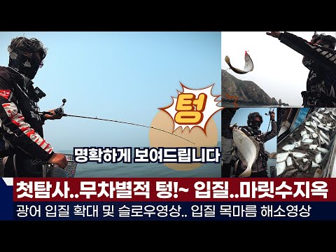 풍낚TV올해 첫탐사 이곳에서 무차별적 텅~그리고 마릿수지옥/텅~하는 로드의 확대영상/광어입질에 목마른 분들 필수영상/영복1호/Flatfish downshot