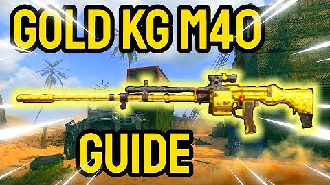 KG M40 Vanguard AR Gun: Gold Guide!