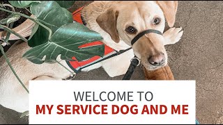 Welcome to My Service Dog and Me!