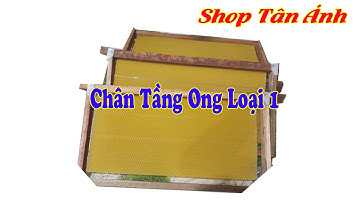 Chân Tầng Ong Nội, Chân Tầng Sáp Cao Cấp