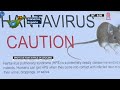 España confirma la evacuación de pasajeros de crucero con alerta por hantavirus