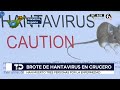 España confirma la evacuación de pasajeros de crucero con alerta por hantavirus