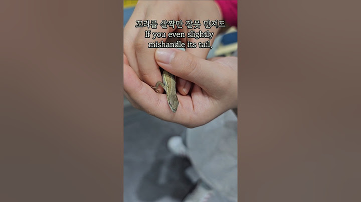 우리 딸과 장지뱀, 그리고... 나도 모르게 생긴 엄마표정  My Daughter and the Lizard… And the Mom Face I Didn't Expect