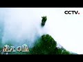 被美国CNN评选为中国最美仙境  恩施大峡谷究竟如何神奇？ 武陵山传奇 4  20200808 |《地理·中国》CCTV科教