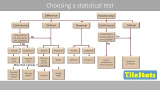 How to choose an appropriate statistical test