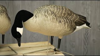 Avian X Full Body Canada Decoys