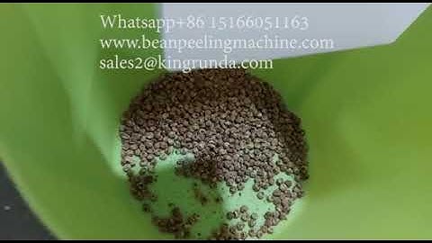 6FT-B7Tiger nut peeling/Tigernuts skin removing machine/Tigernuts dehuller at Spain buyer Laboratory