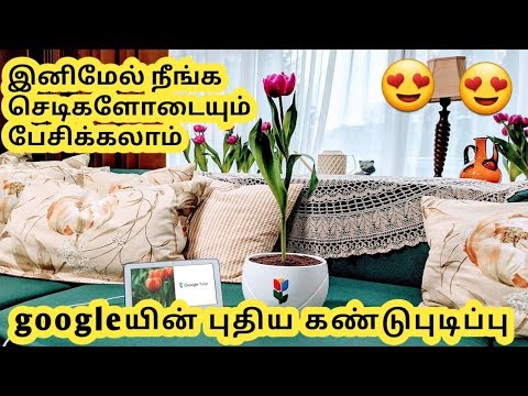 புதிய கண்டுபுடிப்பு ||New Technology Google Tulip||Tamil Info Share