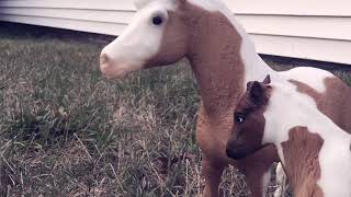 Rock-a- Bye Baby