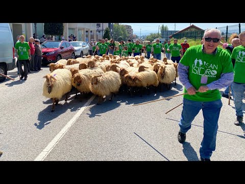 V&Iacute;DEO Desfile de San Isidro en Llanera 2022
