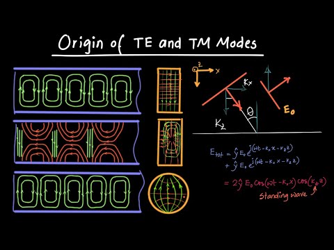 Origin of TE