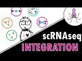 Single-cell integration methods: easily explained!
