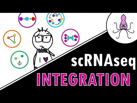Single Cell Integration Methods Easily Explained