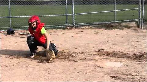 Softball Skills Tape: Sarah Gauthier