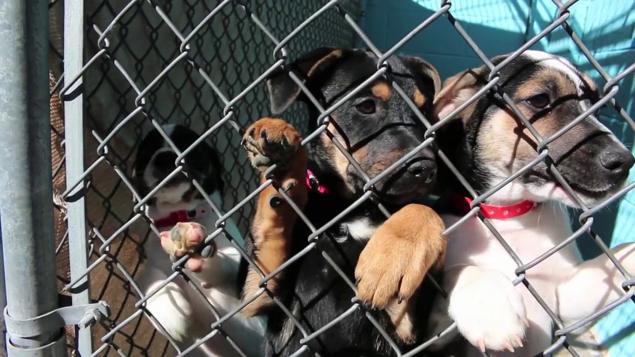 Karl Tunberg | April Newsletter | Midland REA