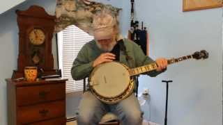 Washburn B-120 Banjo Review