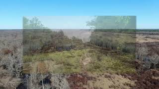 Calhoun County 260 Acres