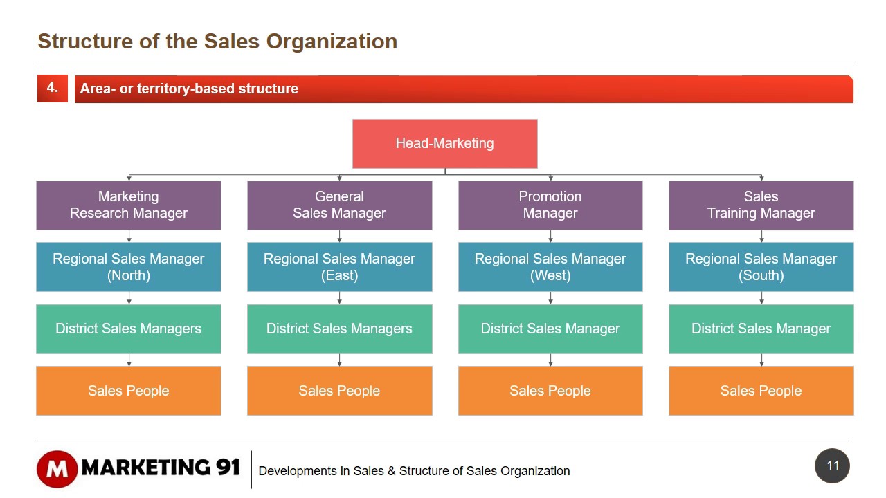 Sales Organization Structure Chart