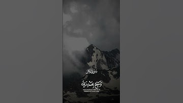 الشيخ عبدالباسط عبدالصمد سورة غافر🤍 230 #ألابذكر #القران #quranismylife #اكسبلور  #remember_quran