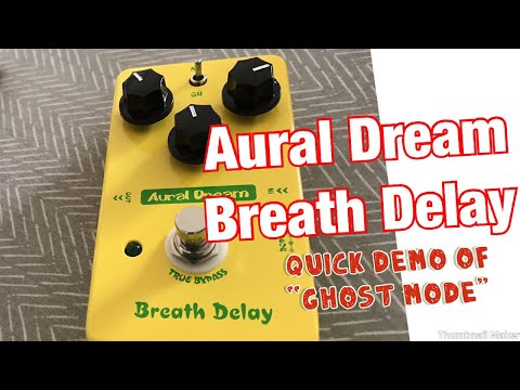 🎸Kevin's Guitar Gear: “Breath Delay” Pedal by Aural Dream