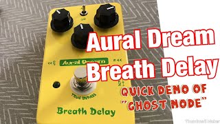 🎸Kevin's Guitar Gear: “Breath Delay” Pedal by Aural Dream