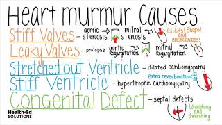 What are the Common Causes of Heart Murmurs? (Heart Murmur Series)