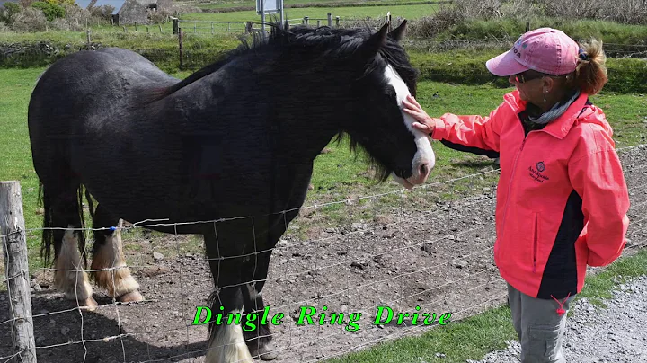 Ireland