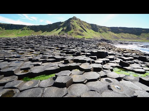 Giants Causeway, Belfast City & Carrick A Rede Rope Bridge Day Tour from Dublin