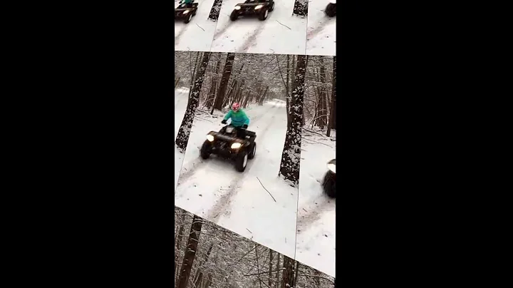 Quad Life