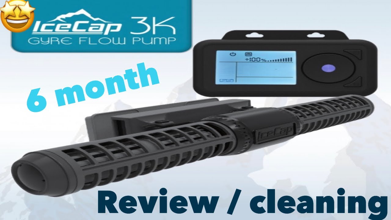 Cleaning my Ice Cap 3K Gyre Pump YouTube