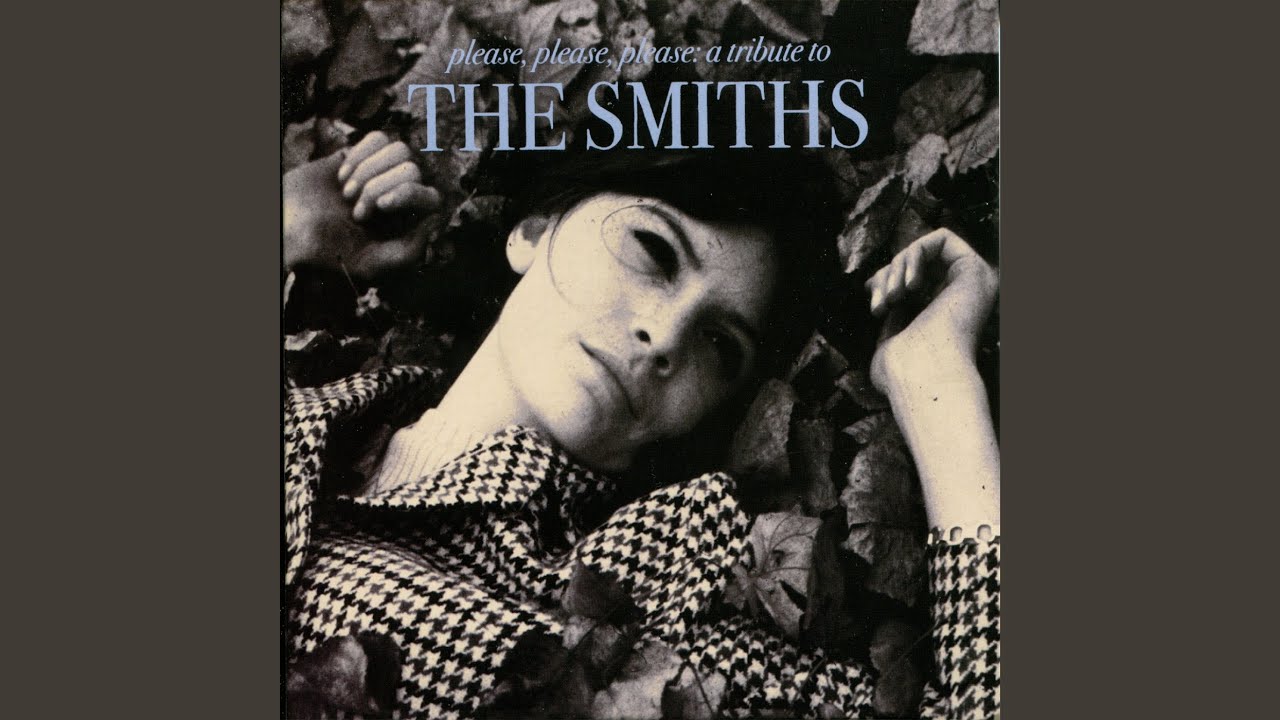 Last Night I Dreamt That Somebody Loved Me - YouTube