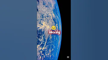 غزة يا لعزيزة 