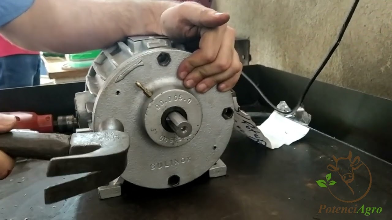 Como é o interior de uma bomba de vácuo da ordenha? Como é a troca das palhetas, que cuidados tomar