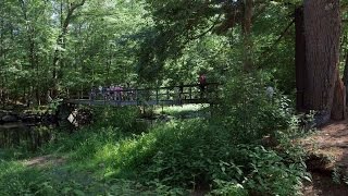 Camp Discovery 2015