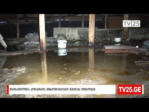 უსინათლოთა კორპუსის მცხოვრებლები შველას ითხოვენ