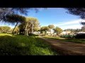 Coria del Rio Pinares de Aznalcázar YouTube