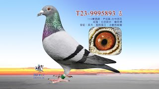 【尹培華】T23-9995893