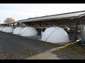 Calf igloos   housing