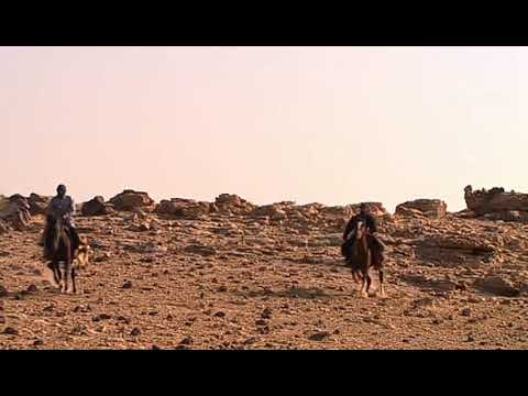 شجاعة نمر بن عدوان
