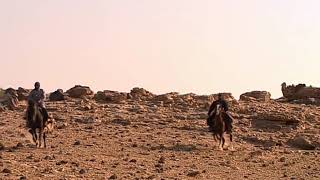 شجاعة نمر بن عدوان 💪🏻